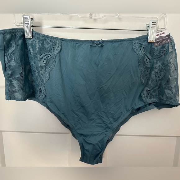 NWT, 26/28, Cacique/Lane Bryant, mid-waist Cheeky Panty - Picture 1 of 2